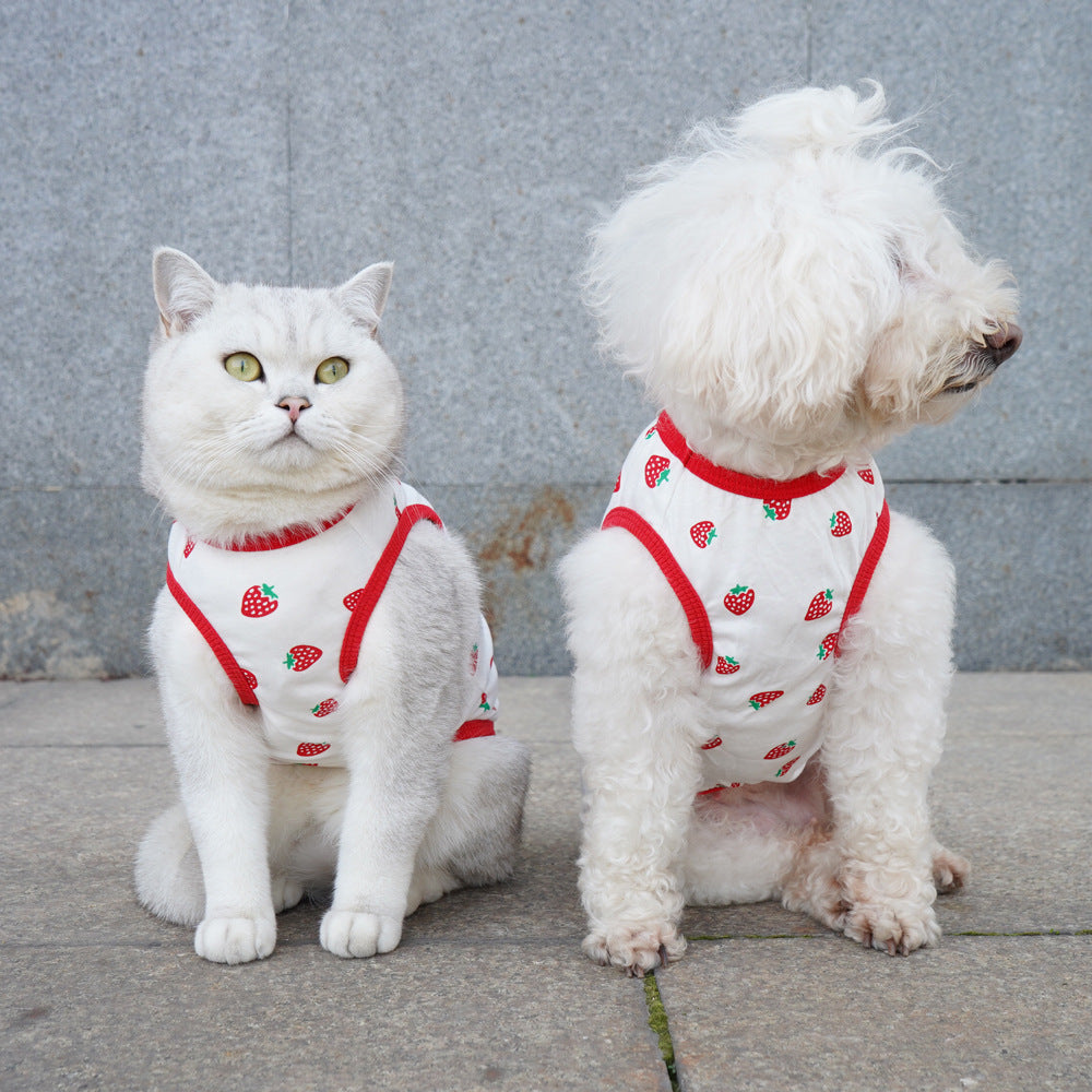 Thin Pet Vest