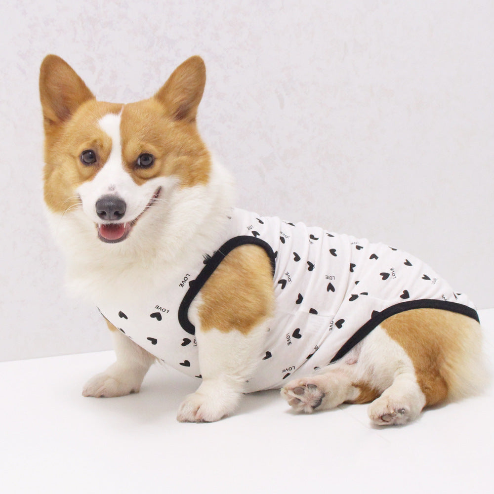 Thin Pet Vest