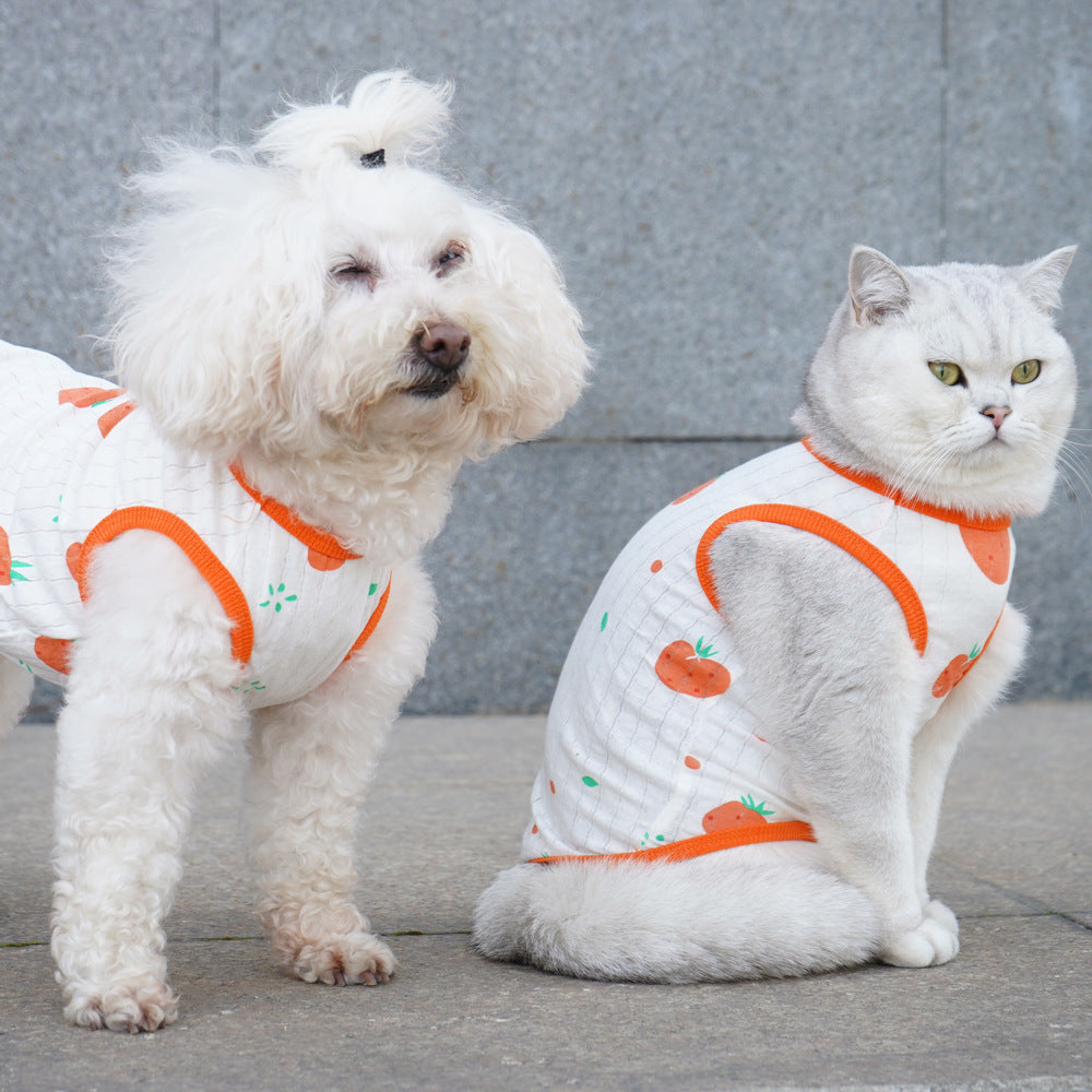 Thin Pet Vest
