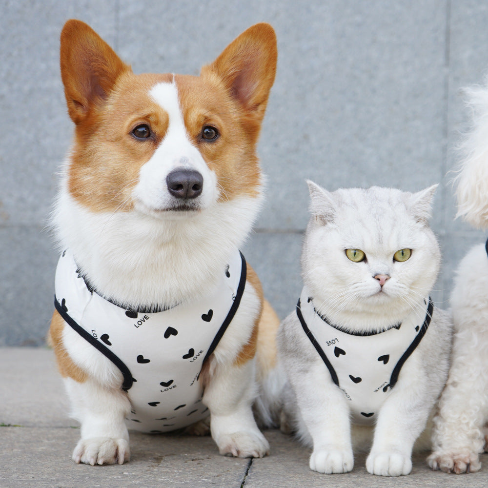 Thin Pet Vest